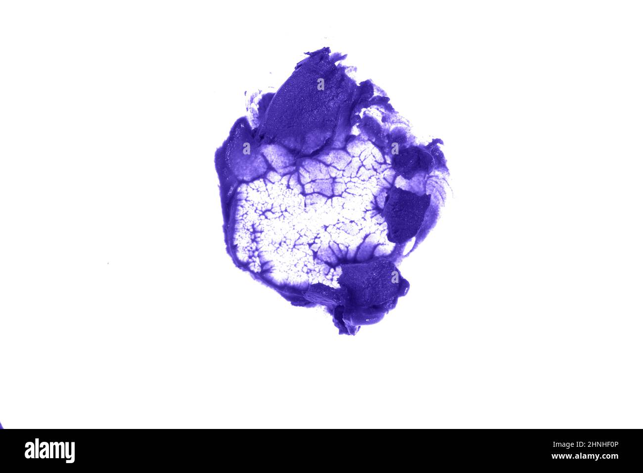 Primo piano della consistenza cremosa del makeup.The molto peri colore del prodotto cosmetico. Macchie di rossetto macchiate si distinguono su uno sfondo bianco isolato. Foto di alta qualità Foto Stock