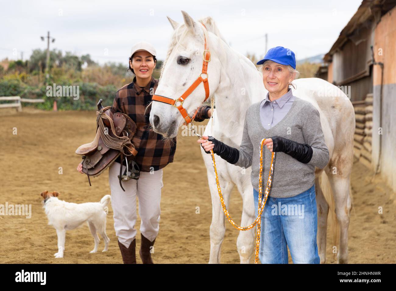 Anziana stalla donna che conduce cavallo a cavallo all'arena di equitazione all'aperto, mentre donna asiatica che tiene sella Foto Stock