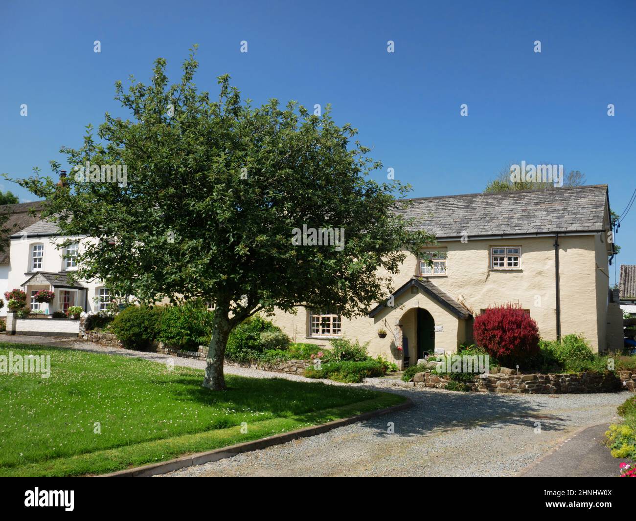 Village Green, Week St Mary, Cornovaglia. Foto Stock