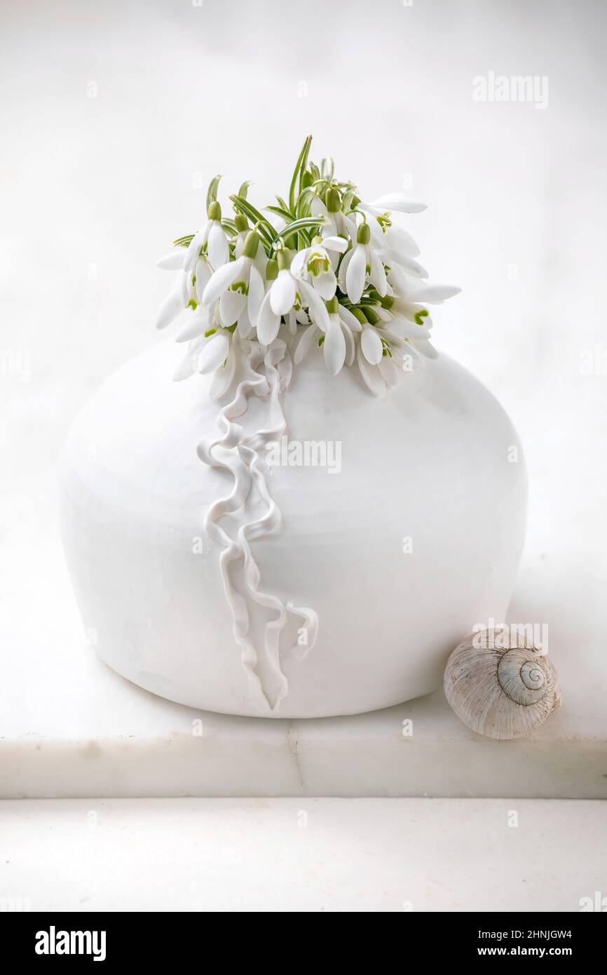 Bouquet di fiori di primavera freschi di gocce di neve in vaso di porcellana bianca con guscio di lumaca su tavolo di marmo bianco. Composizione primaverile Foto Stock