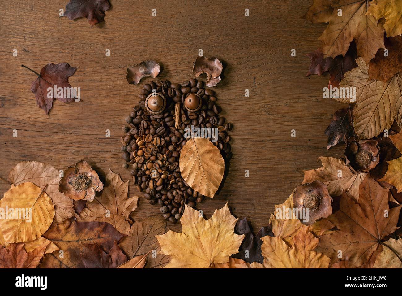 Gufo a forma di chicchi di caffè e spezie. Gufo siediti sul ramo con una tazza di caffè e foglie d'autunno su sfondo di legno. Divertente concetto di caffè misterioso Foto Stock