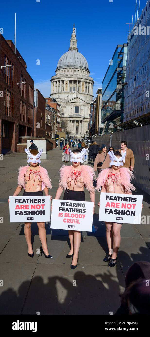 Millennium Bridge, Londra, Regno Unito. 17 febbraio 2022. Per protestare contro l'uso delle piume alla London Fashion Week, un gregge di sostenitori della PETA fa del Millennium Bridge la loro passerella giovedì 17th febbraio. Con le maschere per uccelli e le gazzine “sanguinose e cotte” esposte, evidenziano la piaga degli uccelli le cui piume sono strappate per abiti e accessori moda. “Il piumaggio appartiene agli uccelli delicati, e gli esseri umani non hanno il diritto di strapparlo da loro con la manciata”, afferma Elisa Allen, direttore del PETA. "PETA esorta tutti a fare una dichiarazione di moda nel modo più gentile, con tessuti vegani favolosi." Credito: Malcolm Park/A. Foto Stock