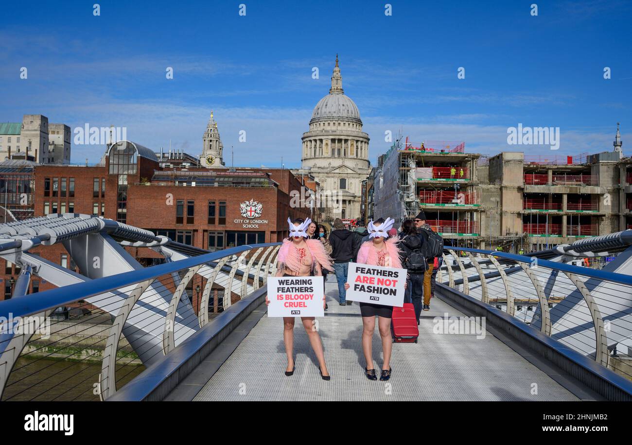 Millennium Bridge, Londra, Regno Unito. 17 febbraio 2022. Per protestare contro l'uso delle piume alla London Fashion Week, un gregge di sostenitori della PETA fa del Millennium Bridge la loro passerella giovedì 17th febbraio. Con le maschere per uccelli e le gazzine “sanguinose e cotte” esposte, evidenziano la piaga degli uccelli le cui piume sono strappate per abiti e accessori moda. “Il piumaggio appartiene agli uccelli delicati, e gli esseri umani non hanno il diritto di strapparlo da loro con la manciata”, afferma Elisa Allen, direttore del PETA. "PETA esorta tutti a fare una dichiarazione di moda nel modo più gentile, con tessuti vegani favolosi." Credito: Malcolm Park/A. Foto Stock