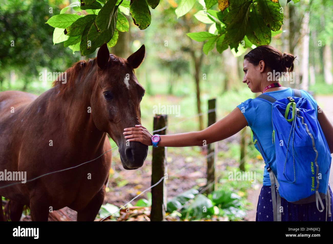 Giovane donna caucasica alletta un cavallo in Costa Rica Foto Stock