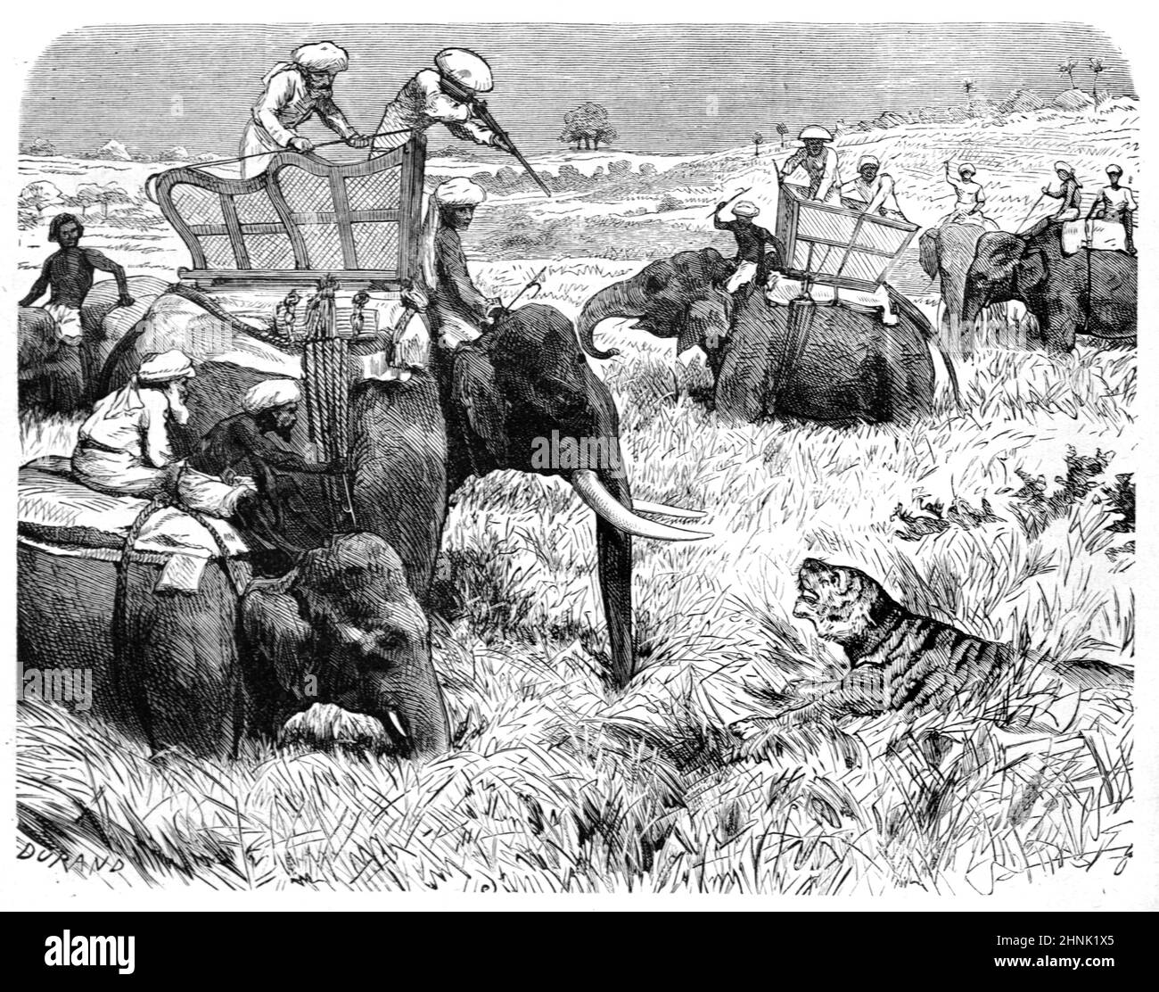 Caccia alla tigre o cacciatori che cacciano tigri da elefanti in British Colonial India. Illustrazione o incisione vintage 1883 Foto Stock