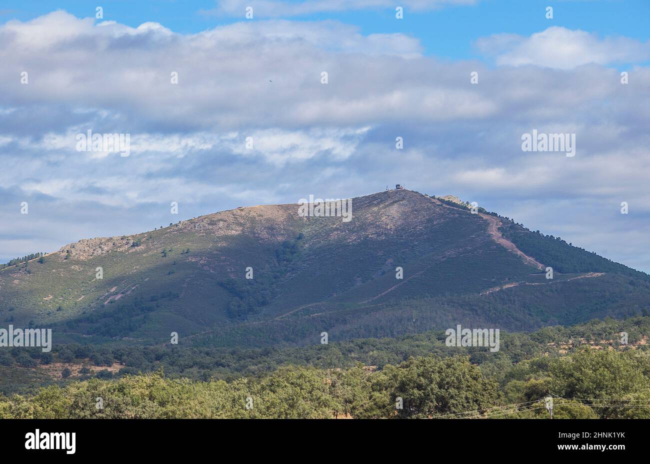 Fuoco torre di avvistamento sopra la foresta di Aceituna, villaggio rurale in Alagon Valley. Caceres, Estremadura, Spagna Foto Stock