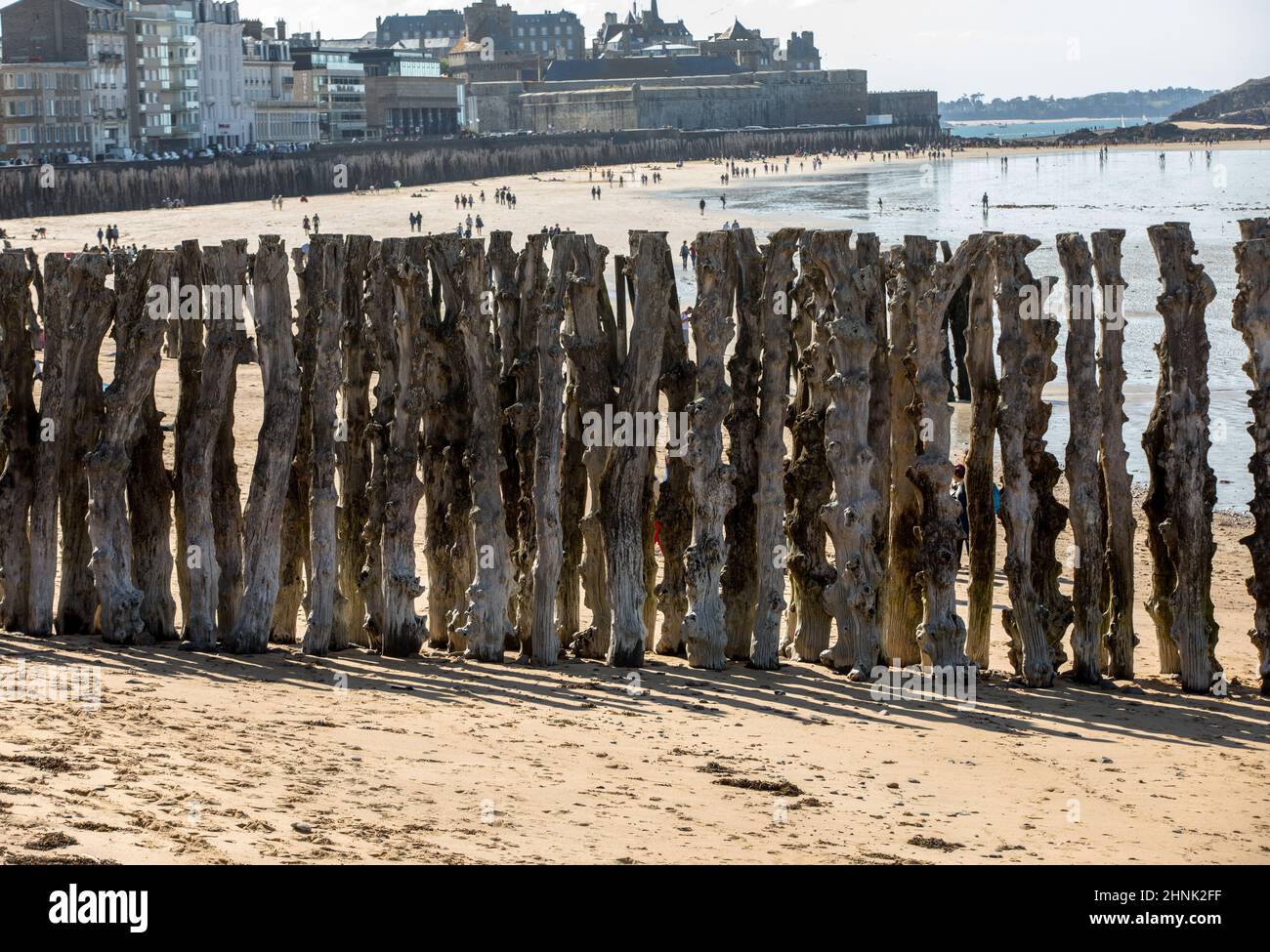 Grande scogliera e Spiaggia di Saint Malo, 3000 trunk per difendere la città dalle maree, Ille-et-Vilaine Bretagna, Francia Foto Stock