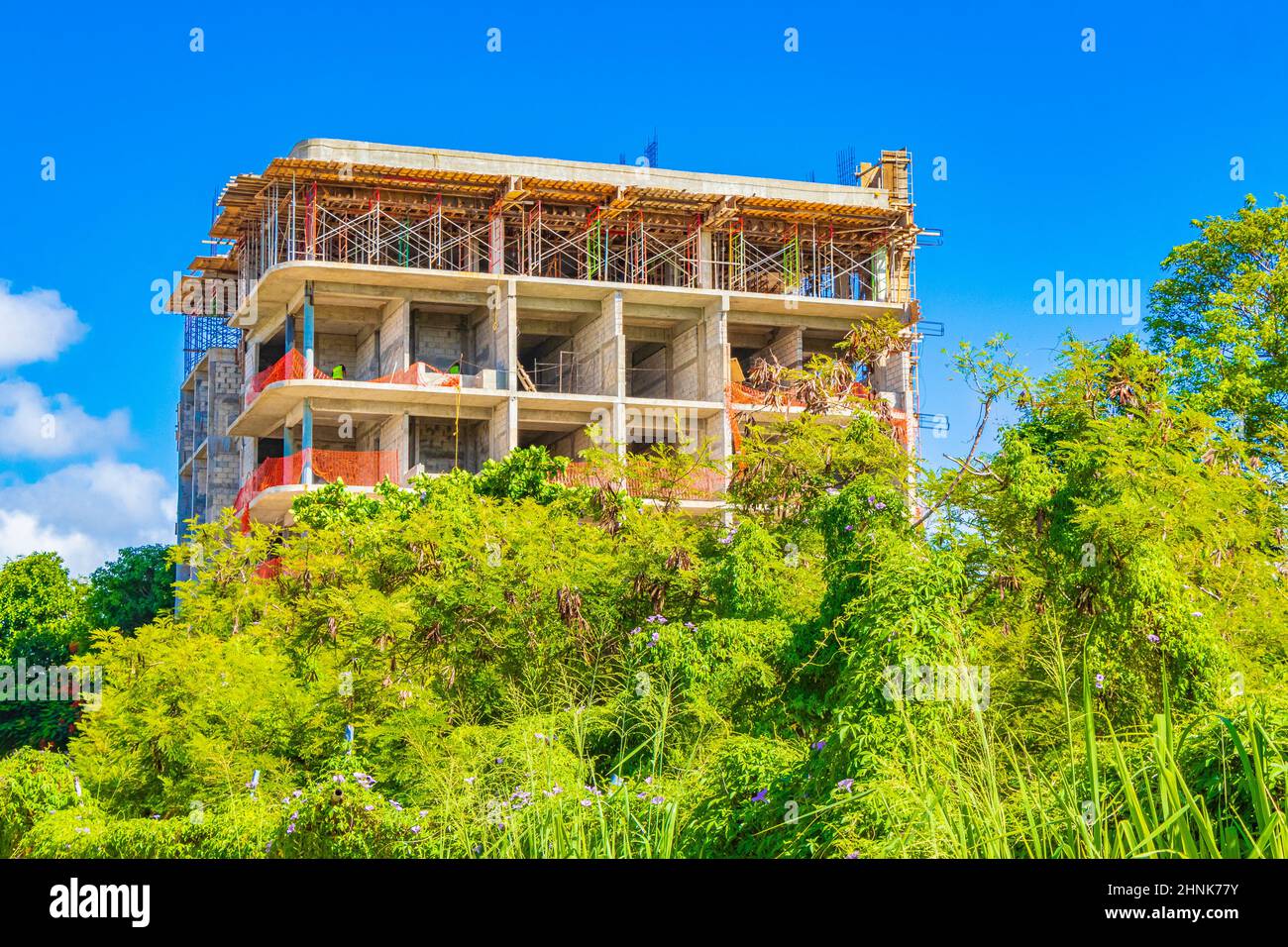 I cantieri distruggono la natura tropicale Playa del Carmen Messico. Foto Stock