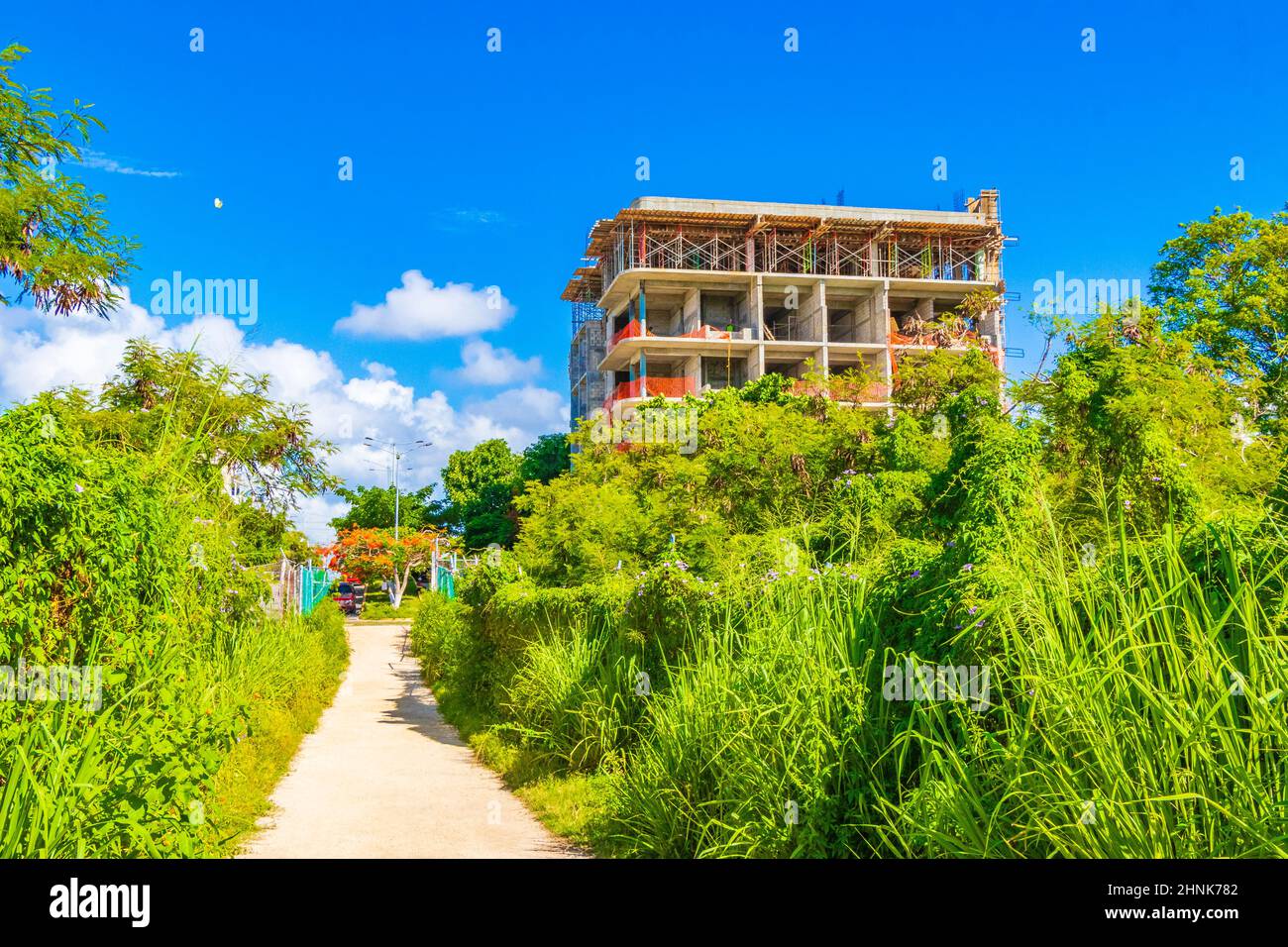 I cantieri distruggono la natura tropicale Playa del Carmen Messico. Foto Stock