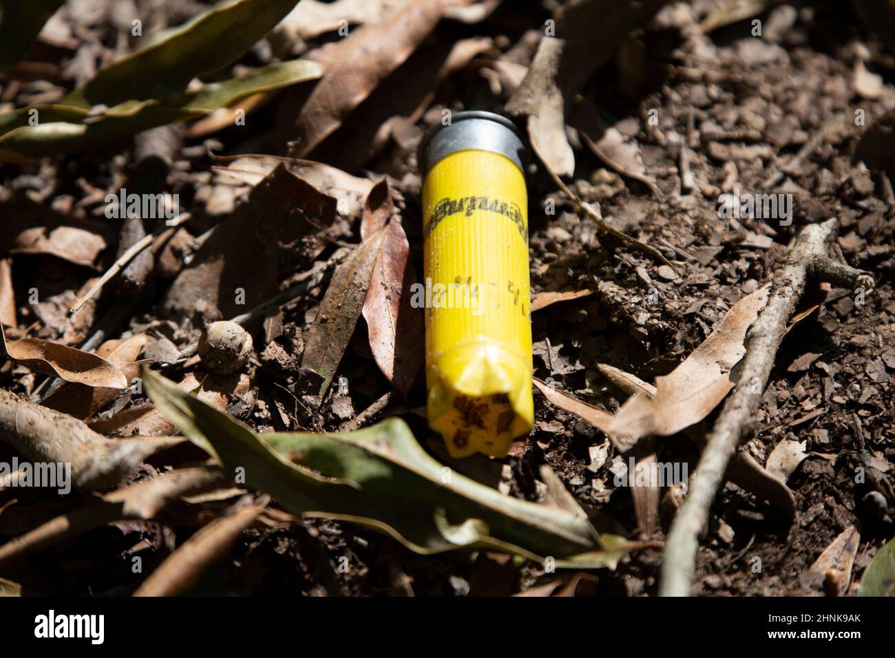 Guscio di munizioni giallo scaricato Foto Stock
