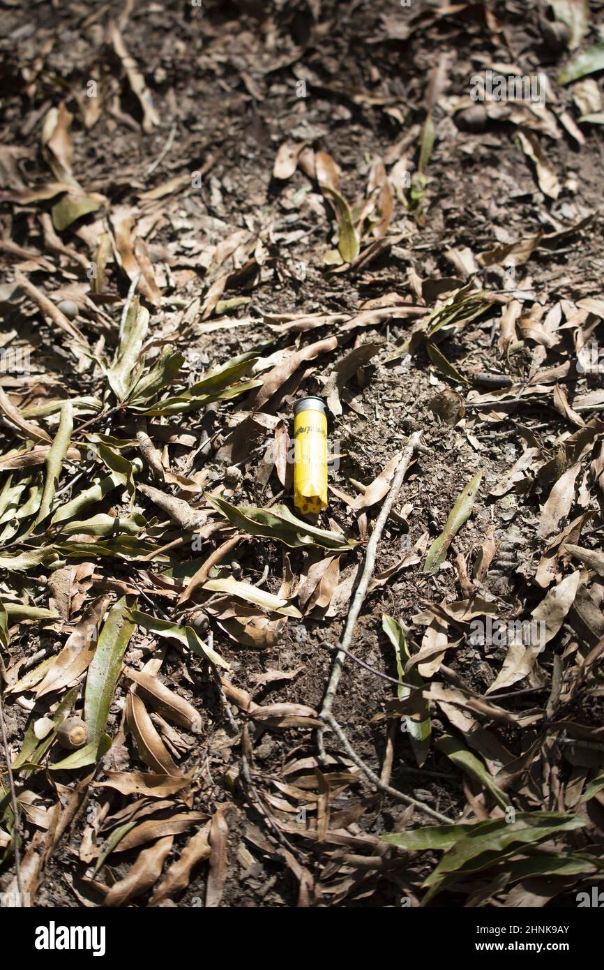 Guscio di munizioni giallo scaricato Foto Stock