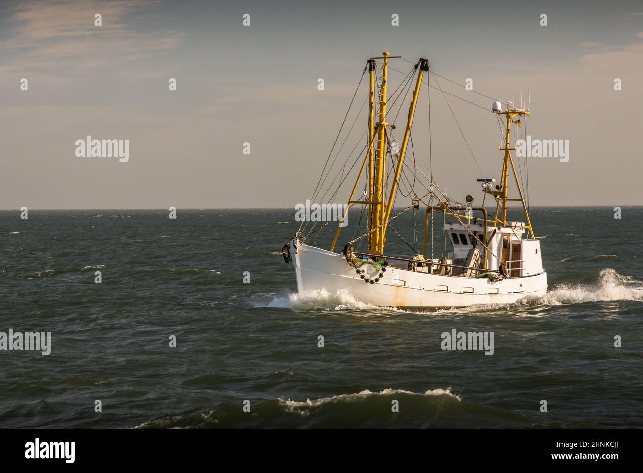 Pesca a strascico, Mare del Nord, Parco Nazionale del Mare di Schleswig-Holstein, Schleswig-Holstein, Germania Foto Stock