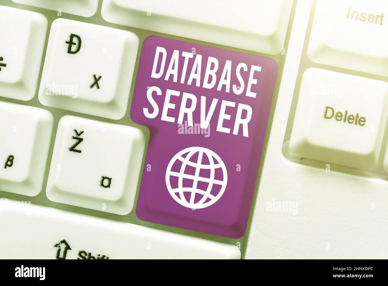 Visualizzazione concettuale Database Server, Business Approach utilizza un'applicazione di database che fornisce servizi di database creando New Online Shop Business, T Foto Stock