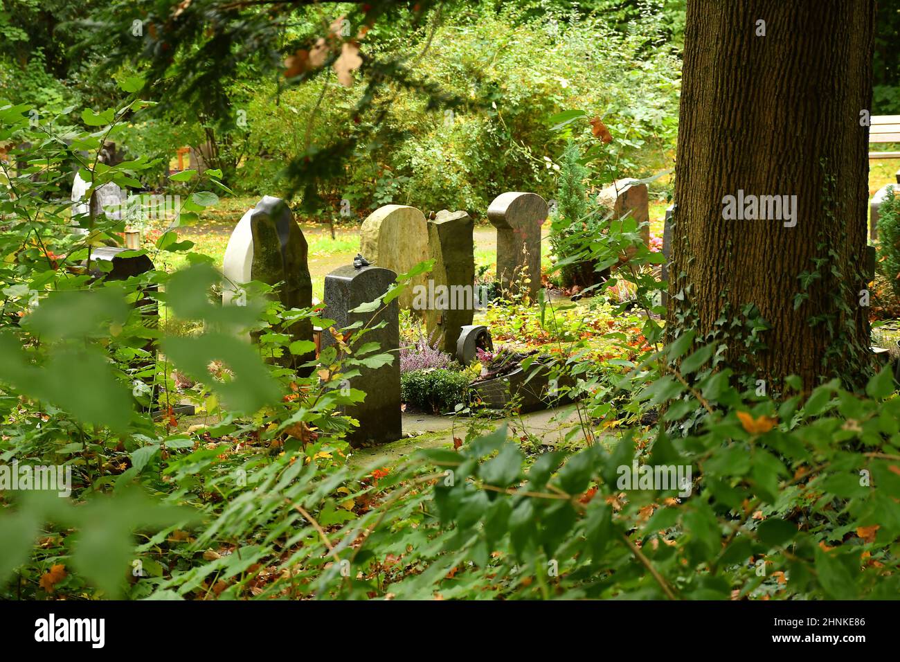 Cimitero in autunno in Germania Foto Stock