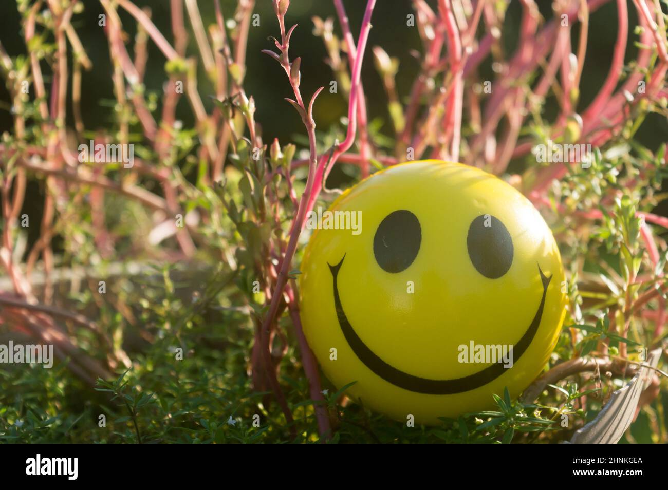 Primo piano Emoji segno Smiley faccia di uno Squeeeze Ball bocca che rappresenta un simbolo di felicità, posto su piante e sfondo natura. Vista frontale. Felice s. Foto Stock