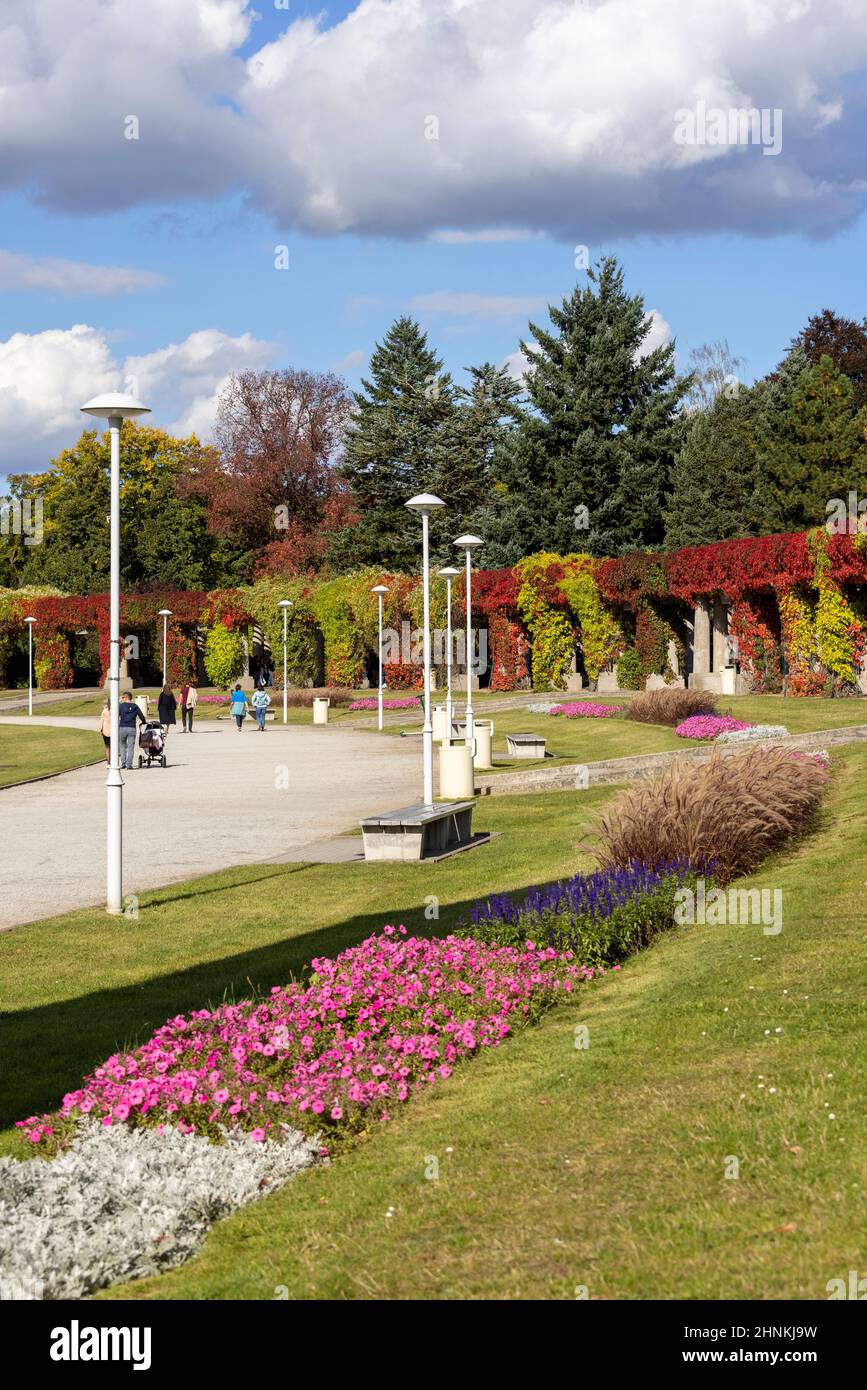 Szczytnicki Park e Wroclaw Pergola con foglie colorate di virginia super super super, Wroclaw, Polonia Foto Stock