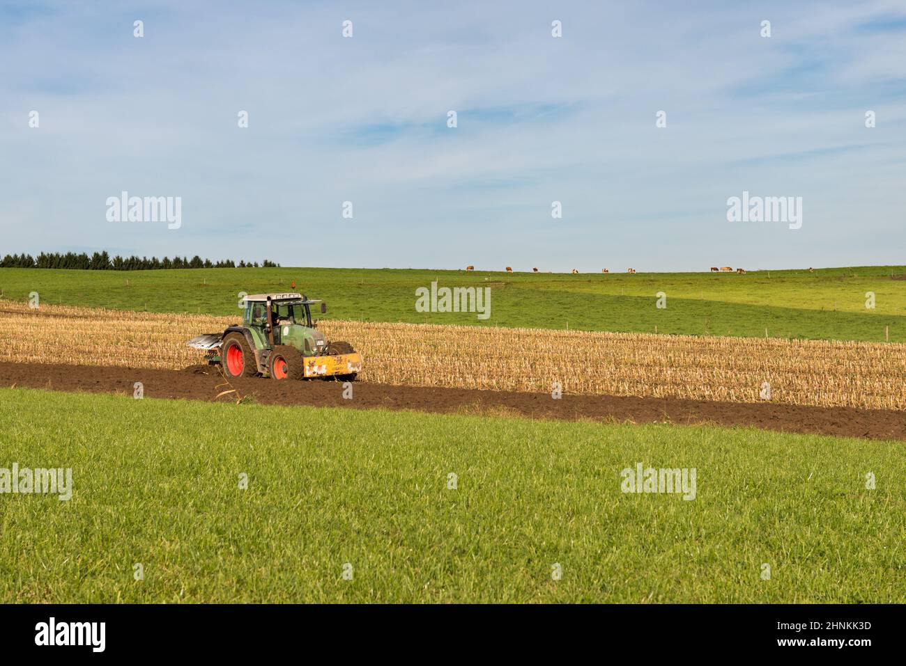 Aratura del trattore sul campo Foto Stock
