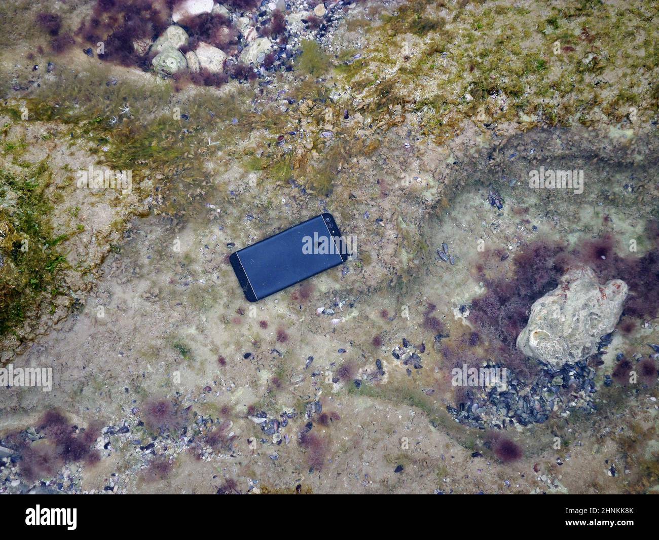 Smartphone sotto l'acqua. Foto Stock