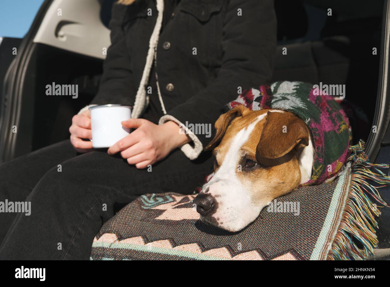 Carino cane in poncho in un bagagliaio auto accanto al suo umano con una tazza di caffè. Viaggiare, campeggiare ed esplorare la natura con animali domestici scena. Foto Stock
