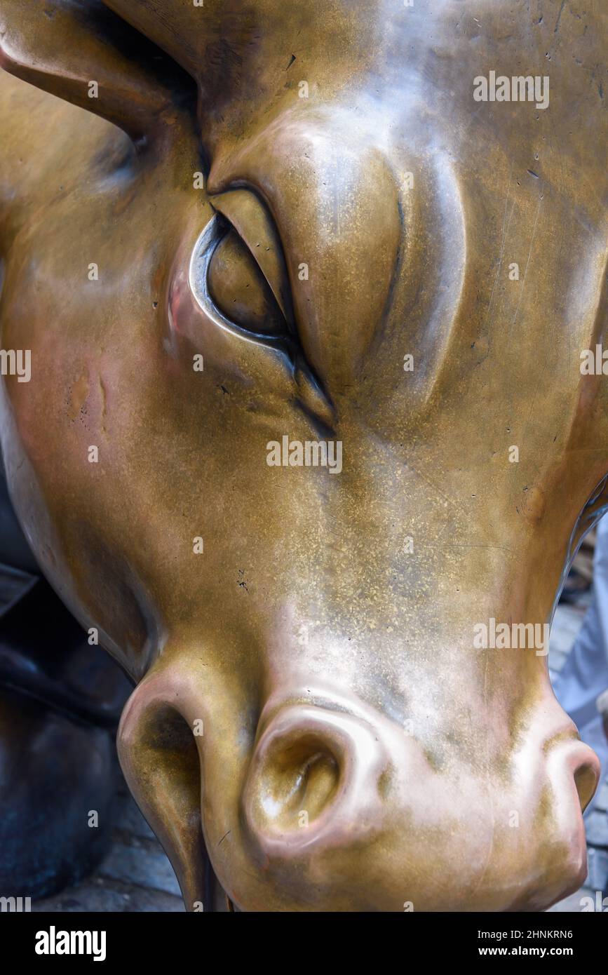 La città di New York, Stati Uniti d'America - 3 Luglio 2017 - Particolare della carica Bull statua, situato in Bowling Green Park, vicino a Wall Street Foto Stock