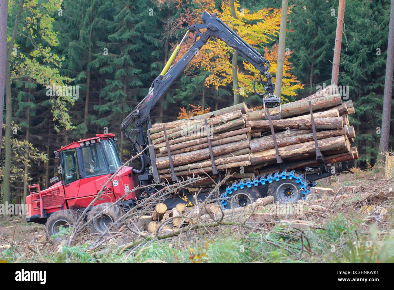 Lavoratori forestali con macchine speciali che raccolgono legno. Vengono caricati trunk ad albero. Foto Stock
