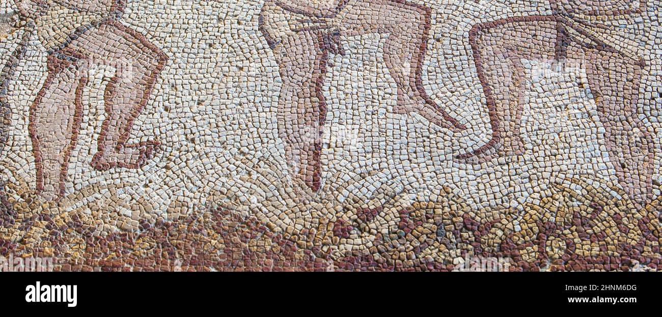 Mosaico autunnale. Merida, Spagna Foto Stock