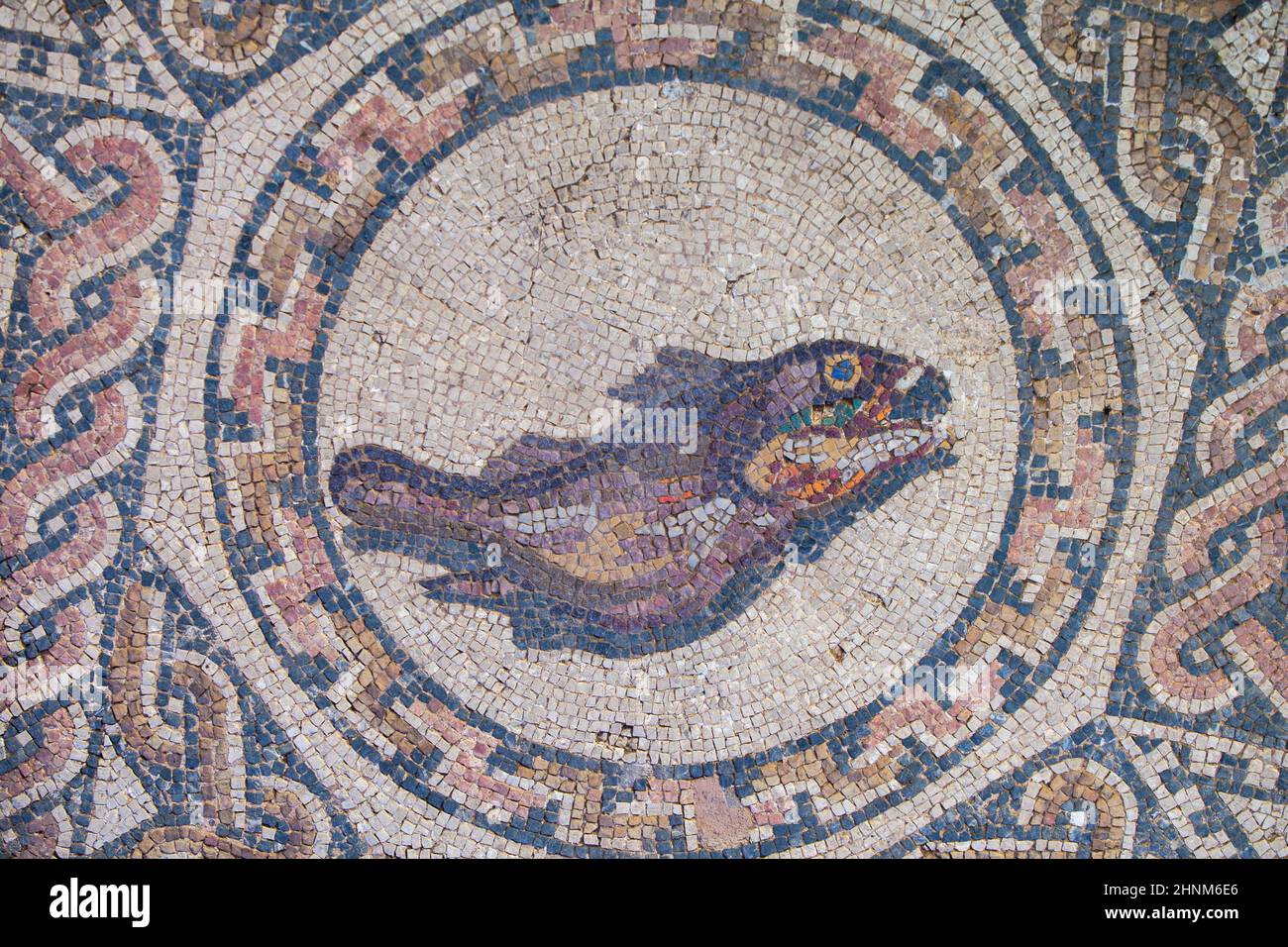 Mosaico di pesce. Merida, Spagna Foto Stock