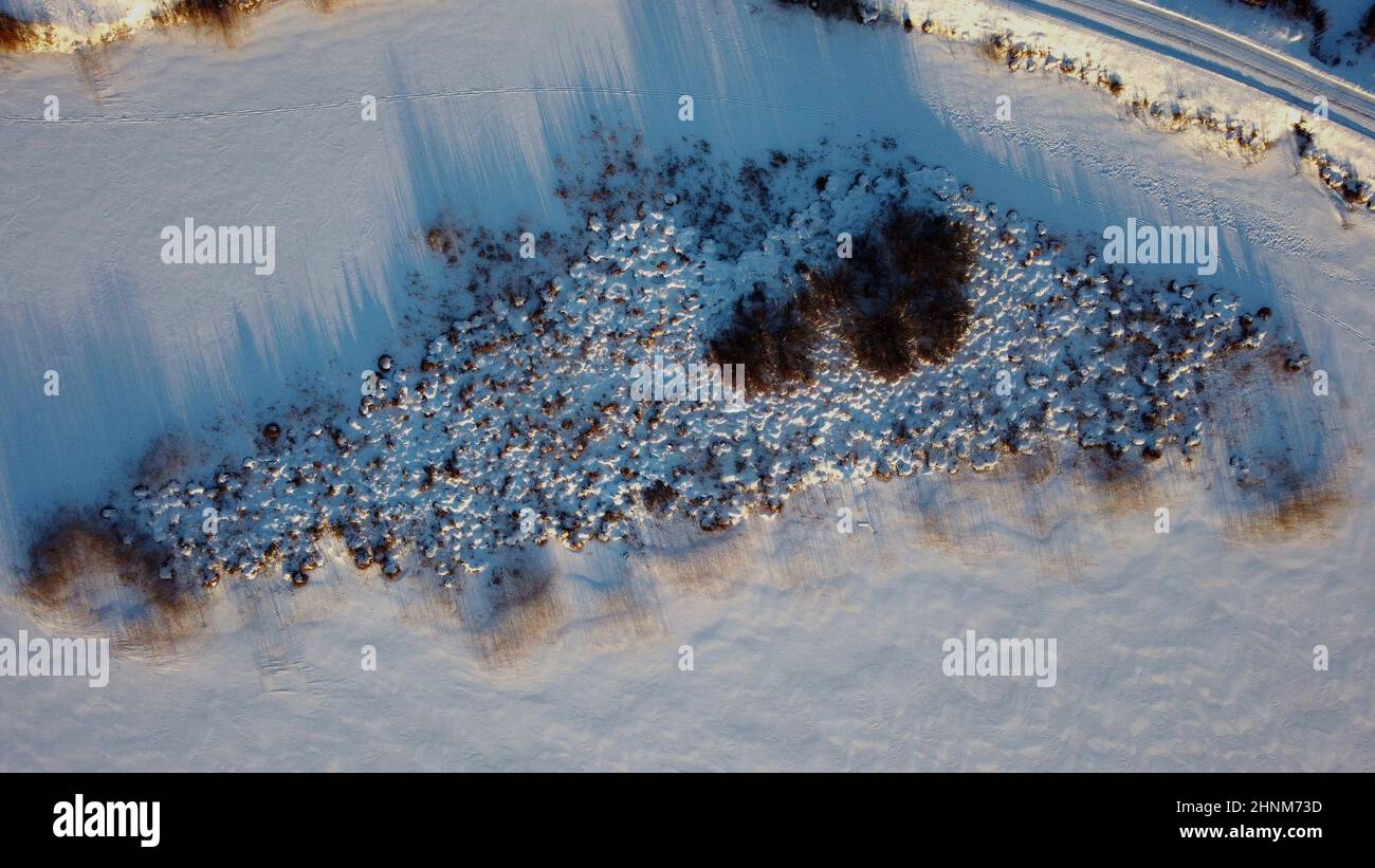 Lavikanlahti a Savitaipal al Lago Saimaa il 1 gennaio girato con un drone a mezzogiorno Foto Stock