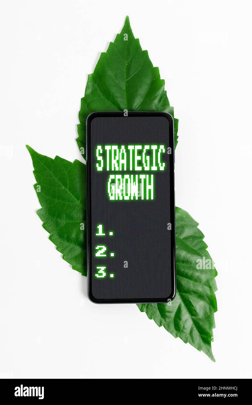 Didascalia di testo Presentazione crescita strategica, concetto Internet creare piano o programma per aumentare le scorte o miglioramento risparmio ambiente idee e piano Foto Stock Didascalia di testo Presentazione crescita strategica, concetto Internet creare piano o programma per aumentare le scorte o miglioramento risparmio ambiente idee e piano Foto Stock