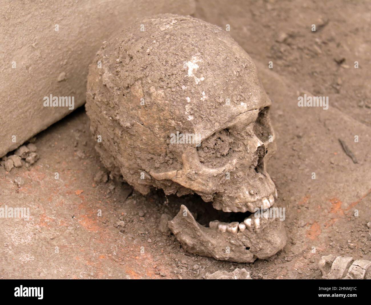 Cranio umano sporco Foto Stock