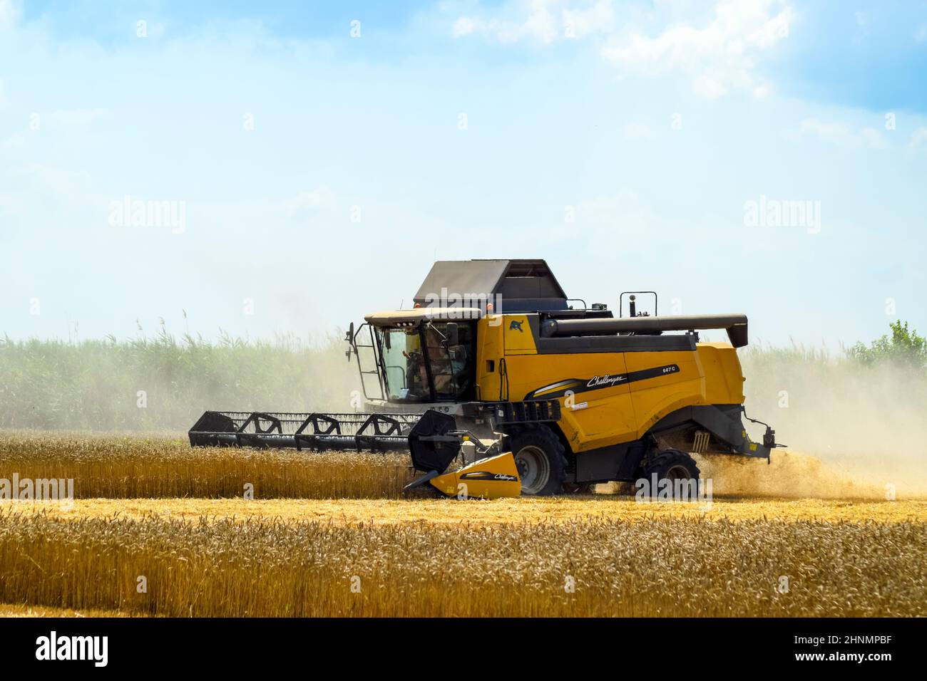 Trebbiatrici mietitrebbia. Macchine agricole. Foto Stock