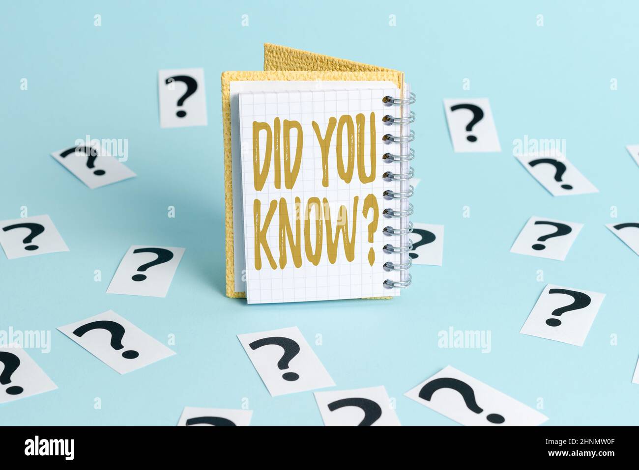 Presentazione della didascalia di testo avete conosciuto la domanda, vetrina aziendale quando state chiedendo a qualcuno se conoscono i fatti o l'evento elaborazione delle informazioni di ufficio Foto Stock