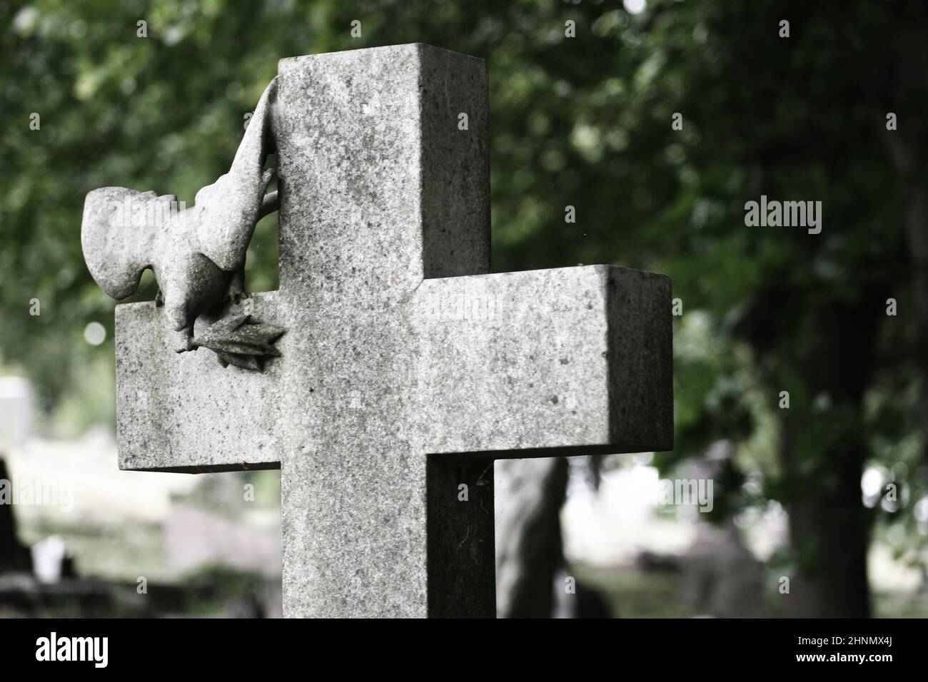 Croce di pietra con colomba di pace scolpita nel cimitero Foto Stock