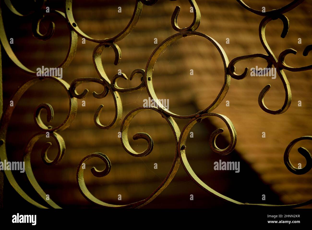 Particolare di una recinzione in ferro battuto illuminata dai raggi del sole che tramonta. Foto Stock