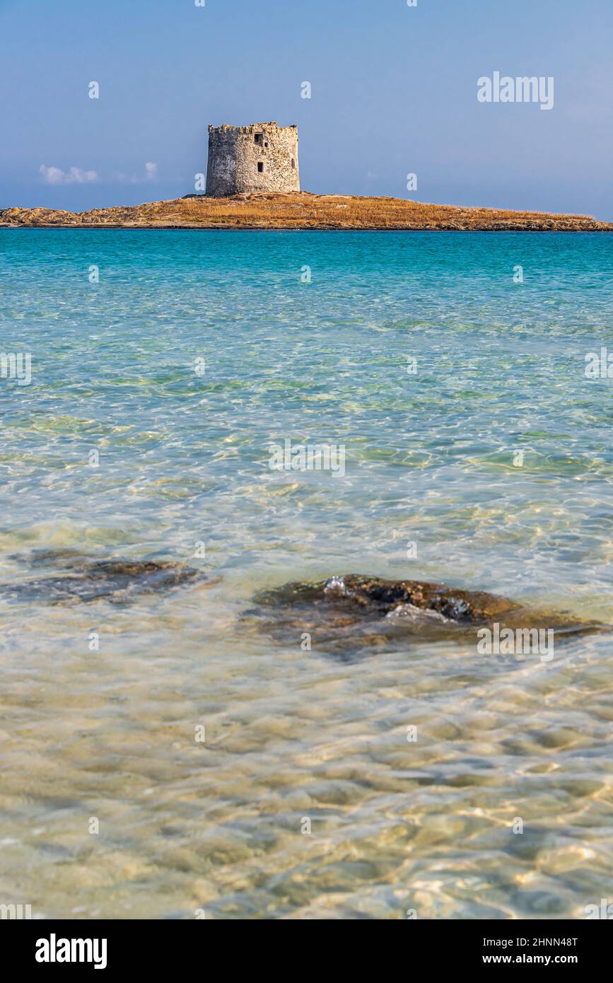 L'incredibile mare e la torre aragonese a la Pelosa Beach, Stintino Foto Stock