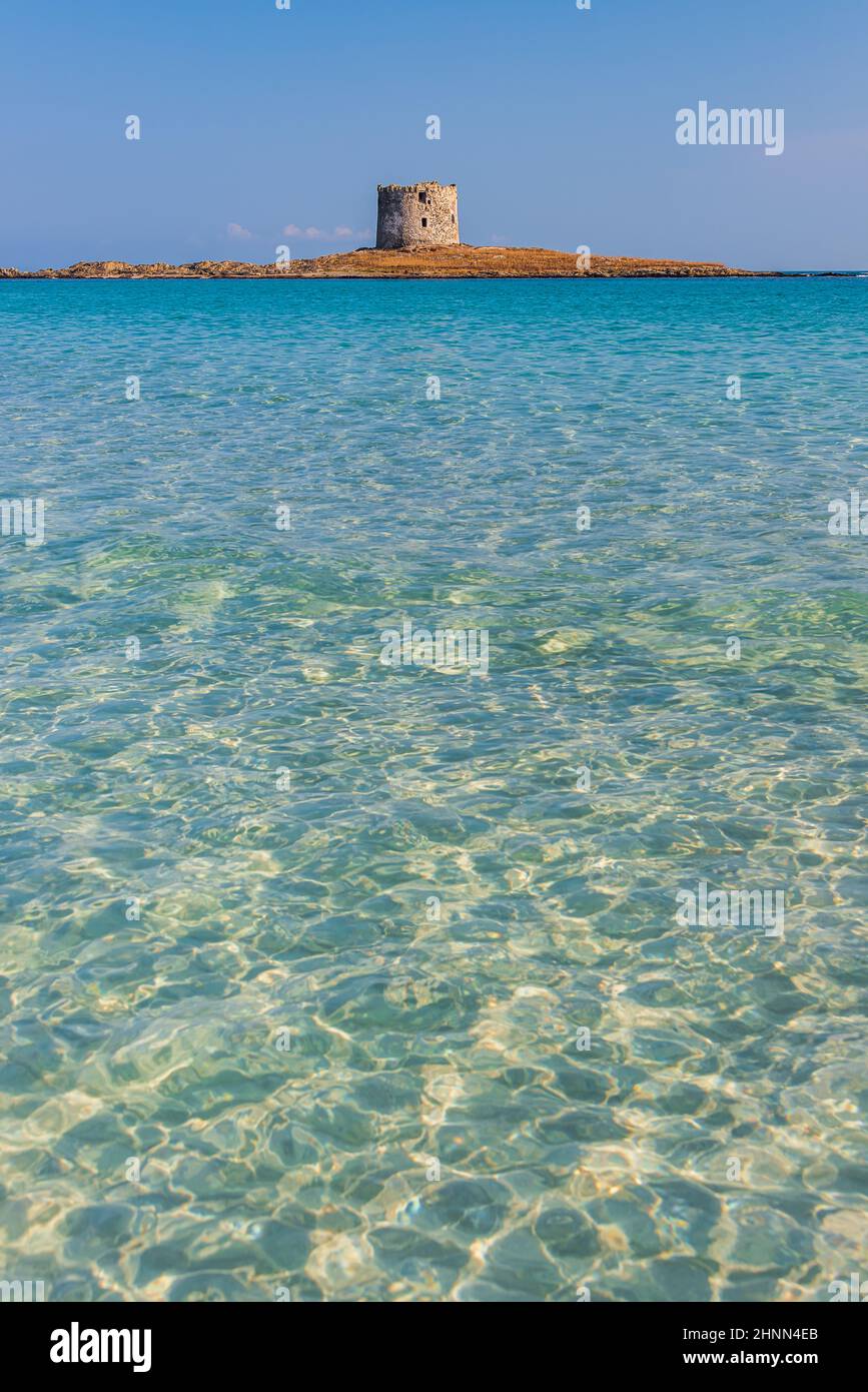 L'incredibile mare e la torre aragonese a la Pelosa Beach, Stintino Foto Stock