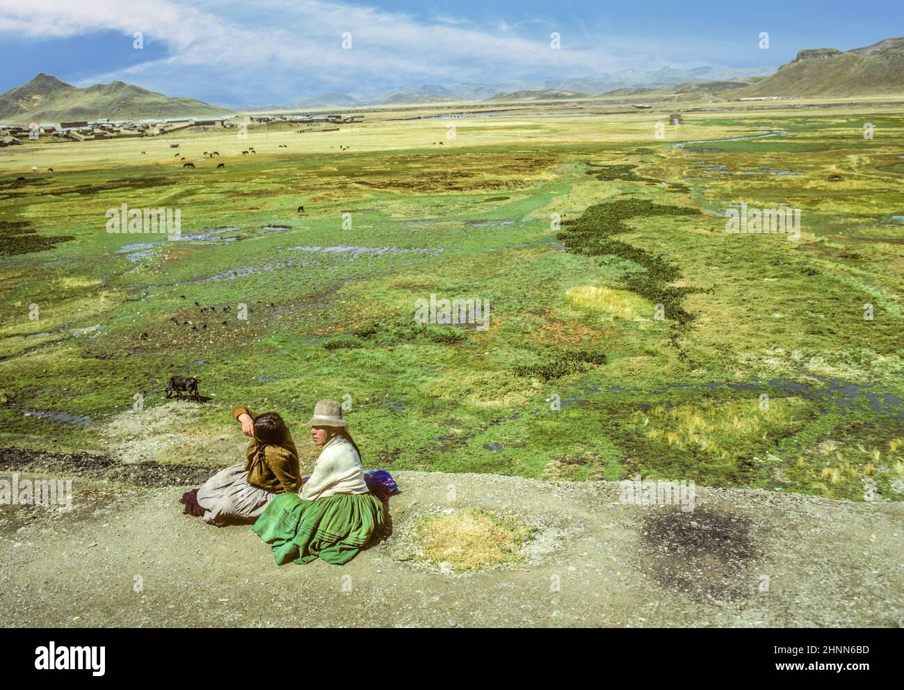 le donne indio siedono alla piattaforma ferroviaria con l'area dell'altiplano e gli animali sullo sfondo Foto Stock