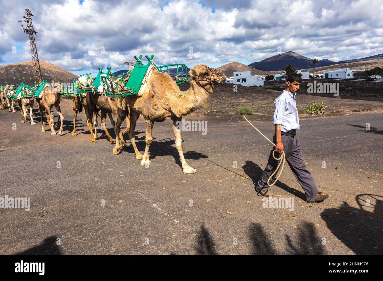 Guida cammello con una roulotte di cammelli cammina verso la fattoria cammello al parco nazionale timanfaya a Lanzarote. Foto Stock