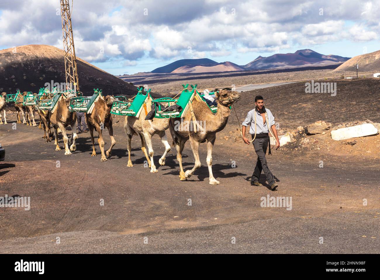 Guida cammello con una roulotte di cammelli cammina verso la fattoria cammello al parco nazionale timanfaya a Lanzarote. Foto Stock