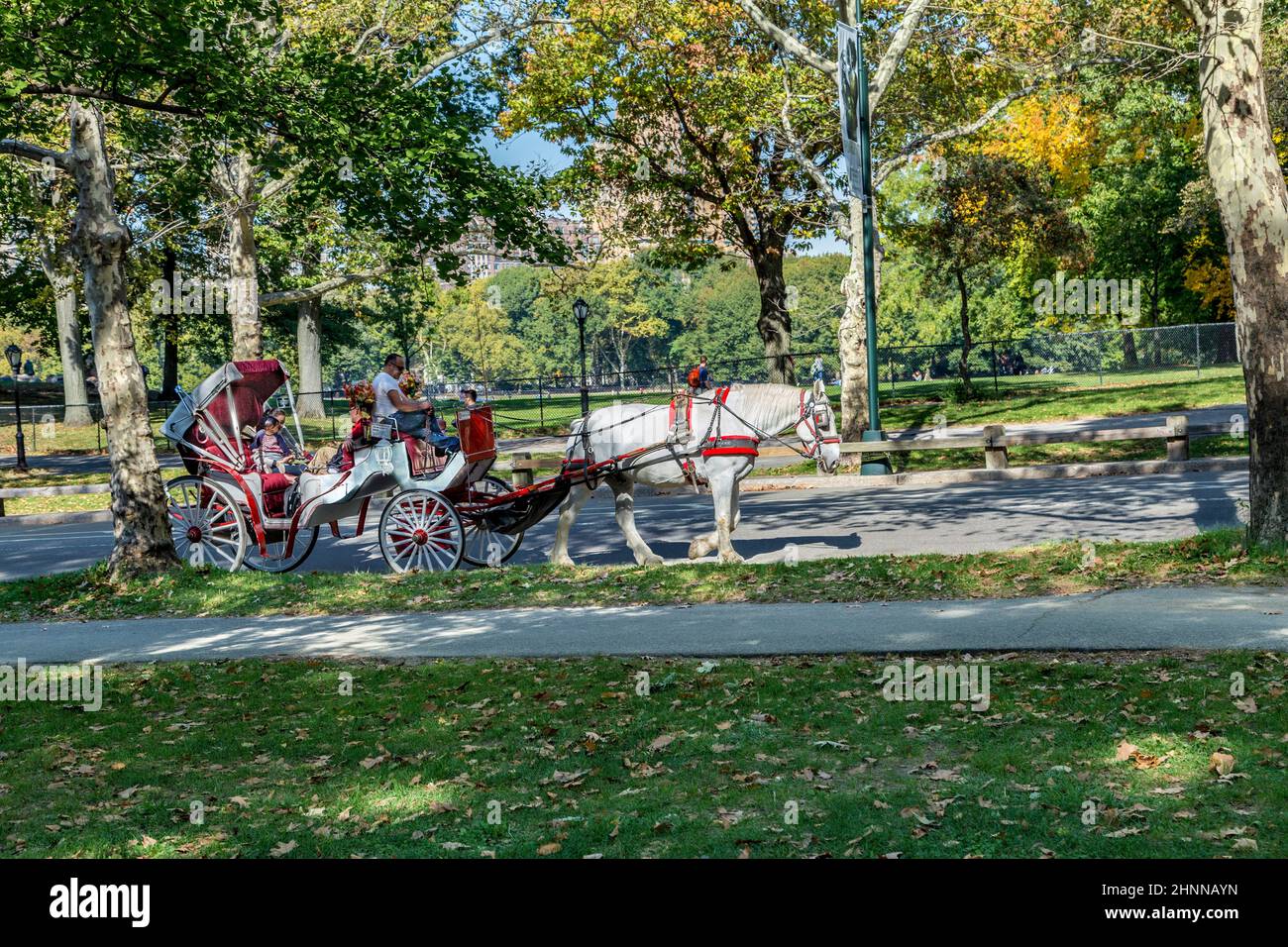 La gente gode di un giro in carrozza a Central Park Foto Stock