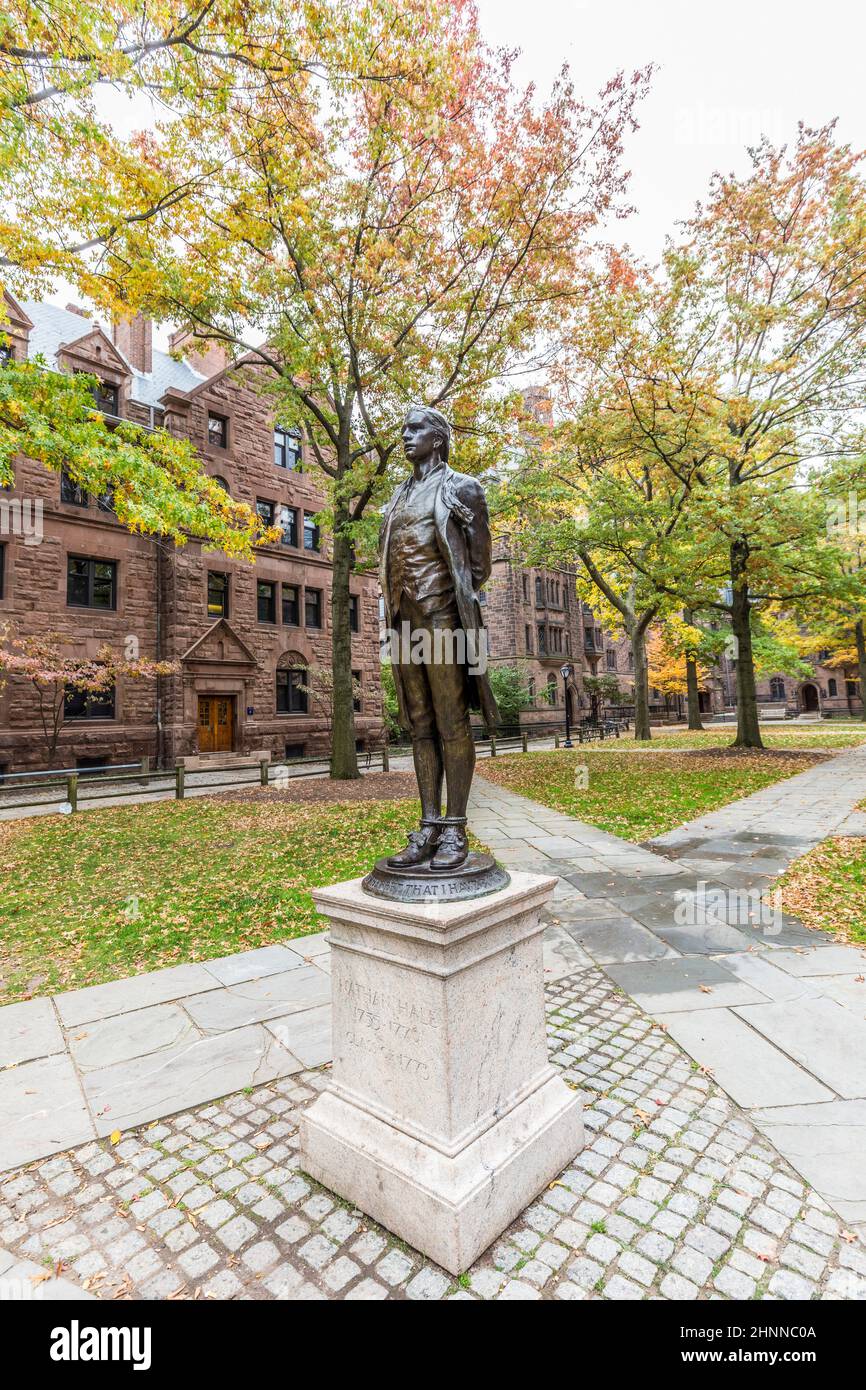 Nathan Hale (eroe della rivoluzione americana) statua nel cortile principale di Yale Univercity Foto Stock
