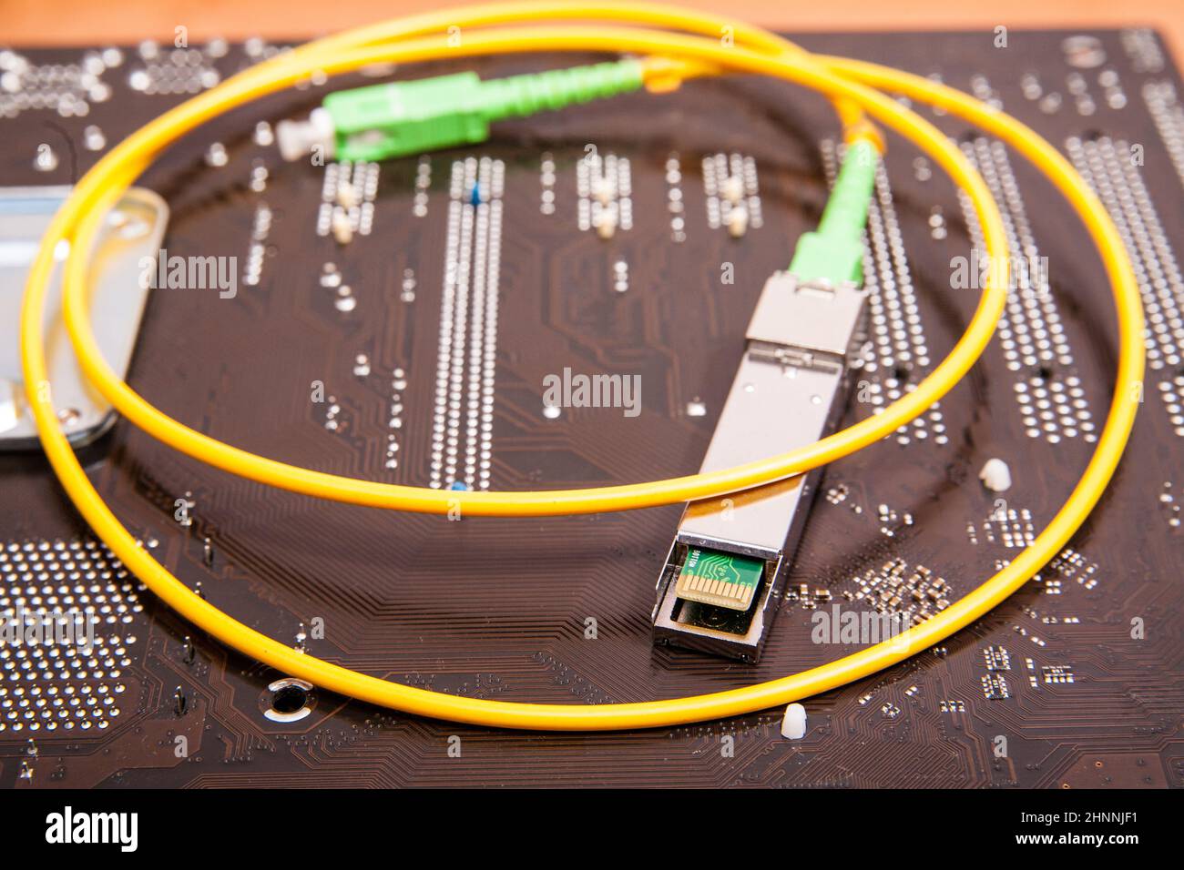 Modulo SFP Gigabit ottico per rete Foto Stock