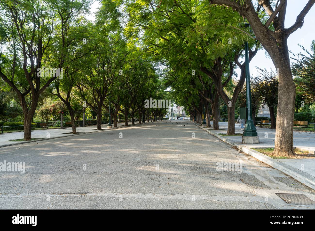 Parco Zappelion ad Atene, Grecia Foto Stock