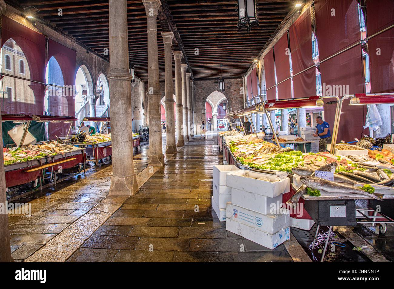 Gli OCAL visitano il vecchio mercato del pesce al ponte di Rialto a Venezia Foto Stock