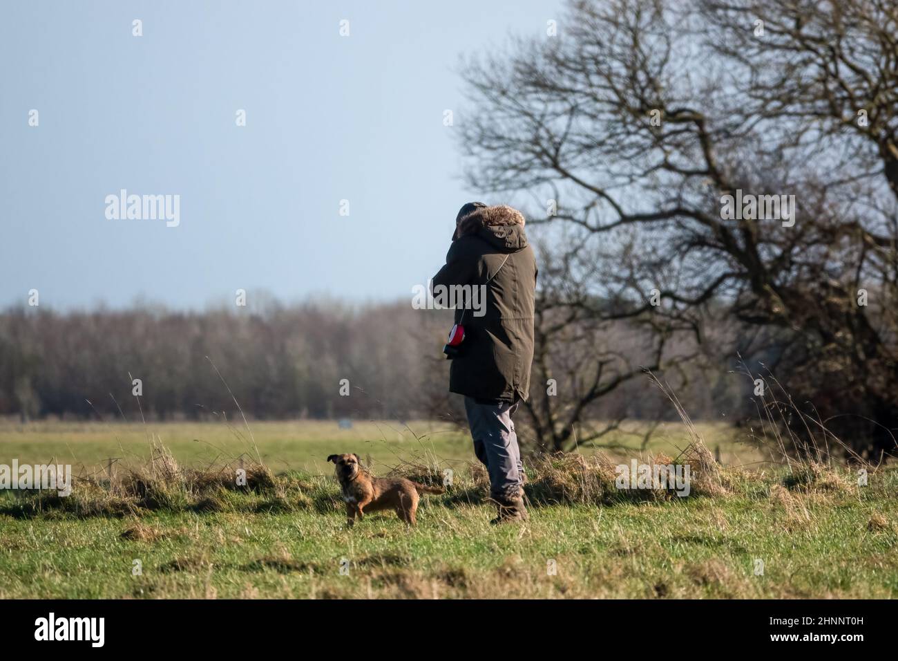 uomo che cammina il suo cane da croce più terrier attraverso campo di prateria, campagna aperta, cielo blu inverno Foto Stock