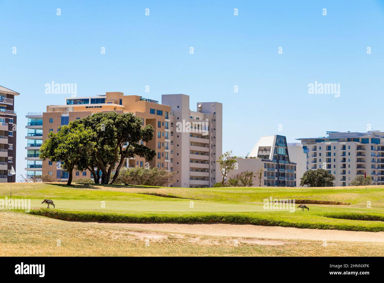 L'hotel e i suoi servizi Panorama Green Point Park Cape Town, South Africa. Foto Stock