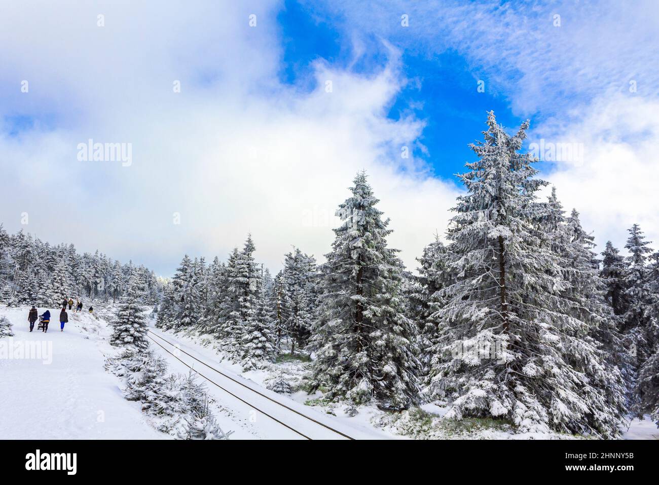 Escursionisti persone innevate nel paesaggio Brocken montagne Harz Germania. Foto Stock