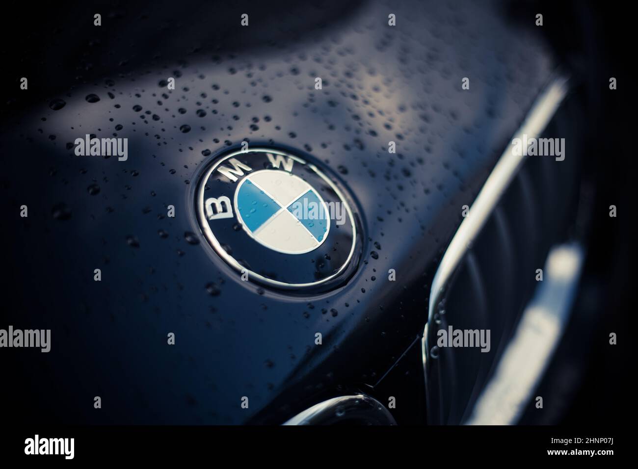 Cofano bagnato di un'auto BMW Foto Stock