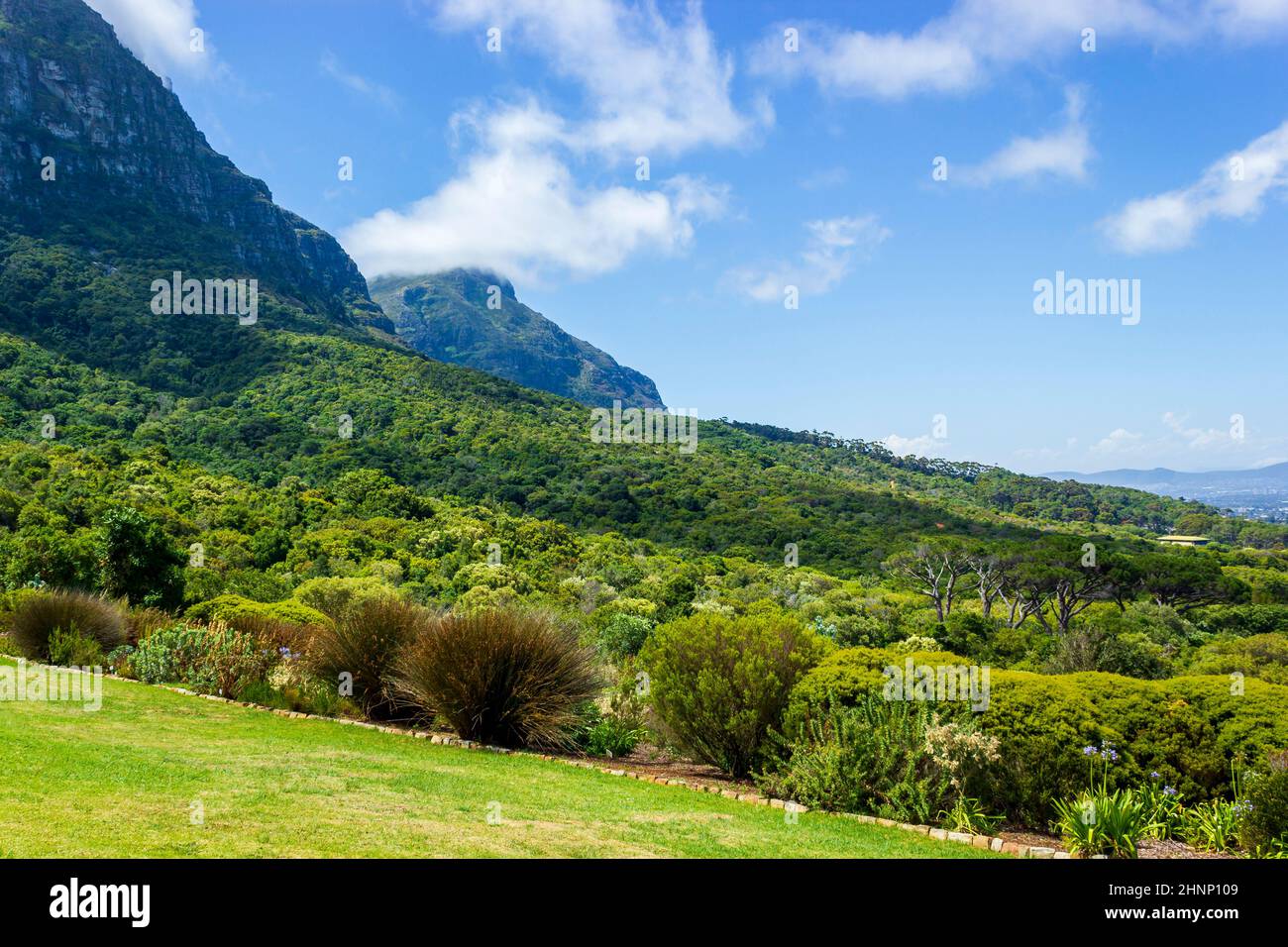 Kirstenbosch National Botanical Garden, Cape Town, Sud Africa. Foto Stock