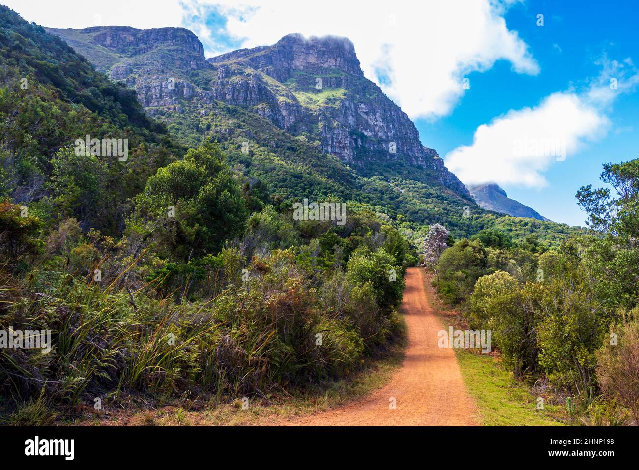 Grandi montagne e sentieri Kirstenbosch National Botanical Garden, Città del Capo. Foto Stock